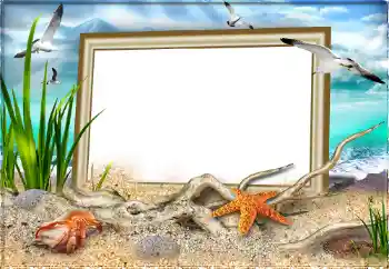 Foto Effekt från kategori Sommar № 97613 Foto Effekt från kategori Sommar № 97613