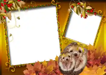 Foto Effekt från kategori Höst № 1006 Foto Effekt från kategori Höst № 1006