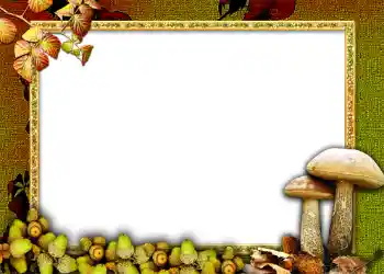 Foto Effekt från kategori Höst № 1011 Foto Effekt från kategori Höst № 1011