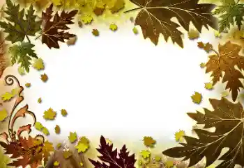 Foto Effekt från kategori Höst № 101278