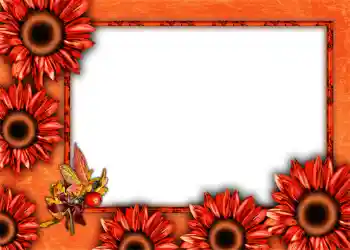 Foto Effekt från kategori Höst № 1012 Foto Effekt från kategori Höst № 1012