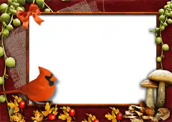 Foto Effekt från kategori Höst № 1013 Foto Effekt från kategori Höst № 1013