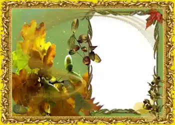 Foto Effekt från kategori Höst № 1019 Foto Effekt från kategori Höst № 1019