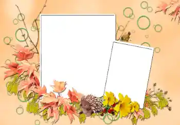 Foto Effekt från kategori Höst № 103852