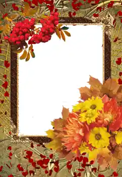 Foto Effekt från kategori Höst № 103855