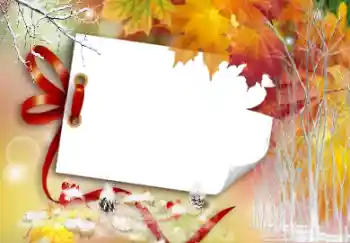 Foto Effekt från kategori Höst № 104121