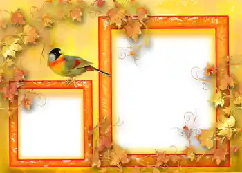 Foto Effekt från kategori Höst № 1124 Foto Effekt från kategori Höst № 1124