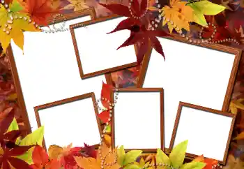 Foto Effekt från kategori Höst № 112976