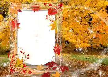 Foto Effekt från kategori Höst № 1129 Foto Effekt från kategori Höst № 1129