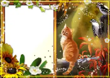 Foto Effekt från kategori Höst № 1130 Foto Effekt från kategori Höst № 1130