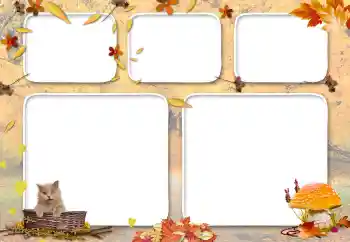 Foto Effekt från kategori Höst № 117689