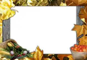 Foto Effekt från kategori Höst № 127051