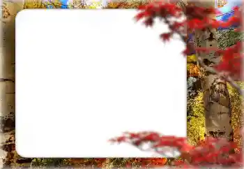 Foto Effekt från kategori Höst № 127331