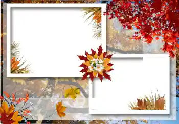 Foto Effekt från kategori Höst № 12922 Foto Effekt från kategori Höst № 12922