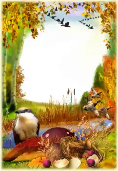 Foto Effekt från kategori Höst № 129768