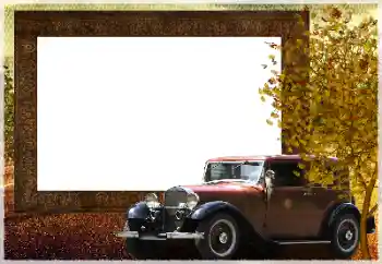 Foto Effekt från kategori Höst № 130249