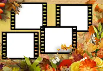 Foto Effekt från kategori Höst № 131752