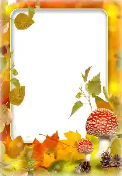 Foto Effekt från kategori Höst № 142243