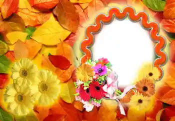 Foto Effekt från kategori Höst № 142255