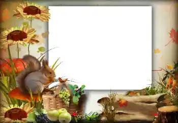 Foto Effekt från kategori Höst № 142363