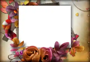 Foto Effekt från kategori Höst № 142460