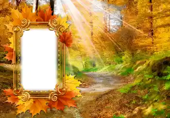 Foto Effekt från kategori Höst № 142463