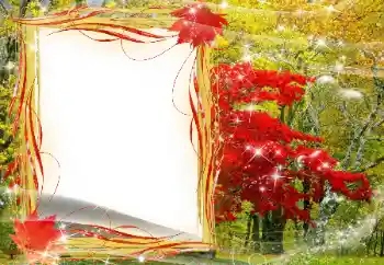 Foto Effekt från kategori Höst № 143481