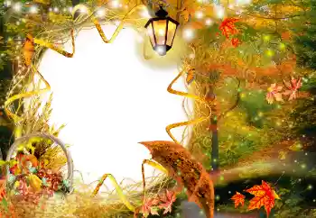 Foto Effekt från kategori Höst № 143483