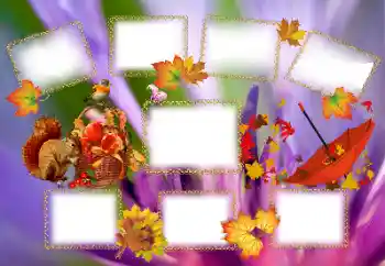 Foto Effekt från kategori Höst № 143637