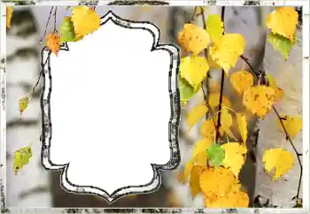 Foto Effekt från kategori Höst № 144851