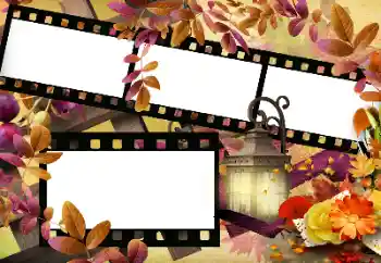 Foto Effekt från kategori Höst № 144966