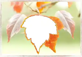 Foto Effekt från kategori Höst № 145072