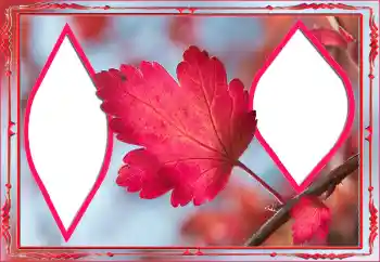 Foto Effekt från kategori Höst № 145078