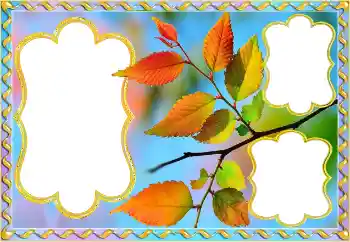 Foto Effekt från kategori Höst № 145082