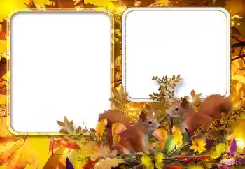 Foto Effekt från kategori Höst № 154567