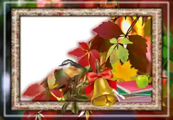 Foto Effekt från kategori Höst № 157063