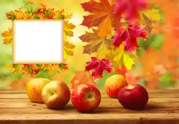 Foto Effekt från kategori Höst № 157134