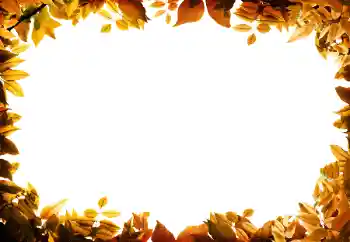 Foto Effekt från kategori Höst № 158309