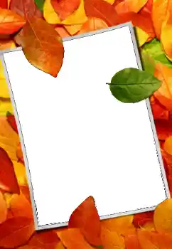 Foto Effekt från kategori Höst № 159508