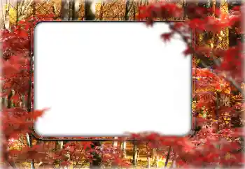 Foto Effekt från kategori Höst № 160546