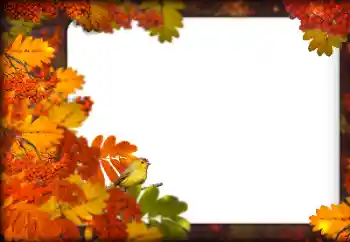 Foto Effekt från kategori Höst № 160787