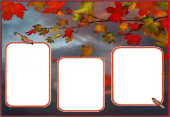 Foto Effekt från kategori Höst № 162013