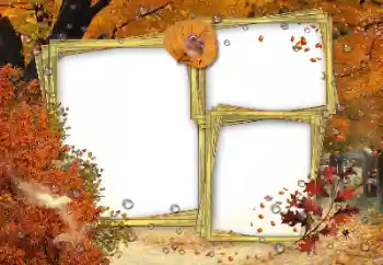 Foto Effekt från kategori Höst № 162180