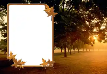 Foto Effekt från kategori Höst № 166423