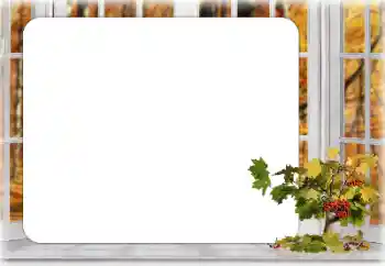 Foto Effekt från kategori Höst № 167899