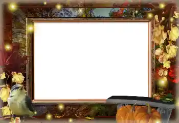 Foto Effekt från kategori Höst № 167992