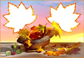 Foto Effekt från kategori Höst № 170391