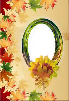 Foto Effekt från kategori Höst № 170525