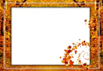 Foto Effekt från kategori Höst № 174119