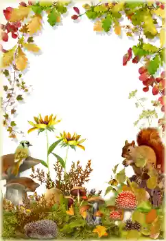 Foto Effekt från kategori Höst № 174322